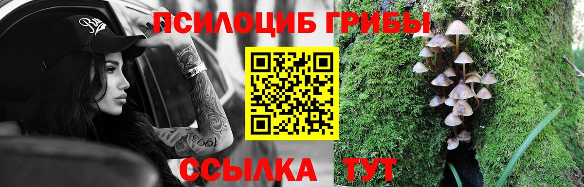 Нижнеудинск  Псилоцибиновые грибы ЛСД  закладки  Вход с VPN 